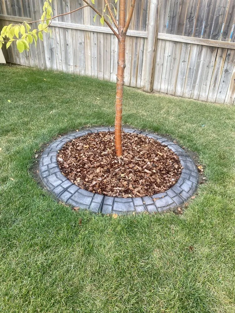 Trusted residential landscaping experts serving Dickinson, TX - Concept Curbing