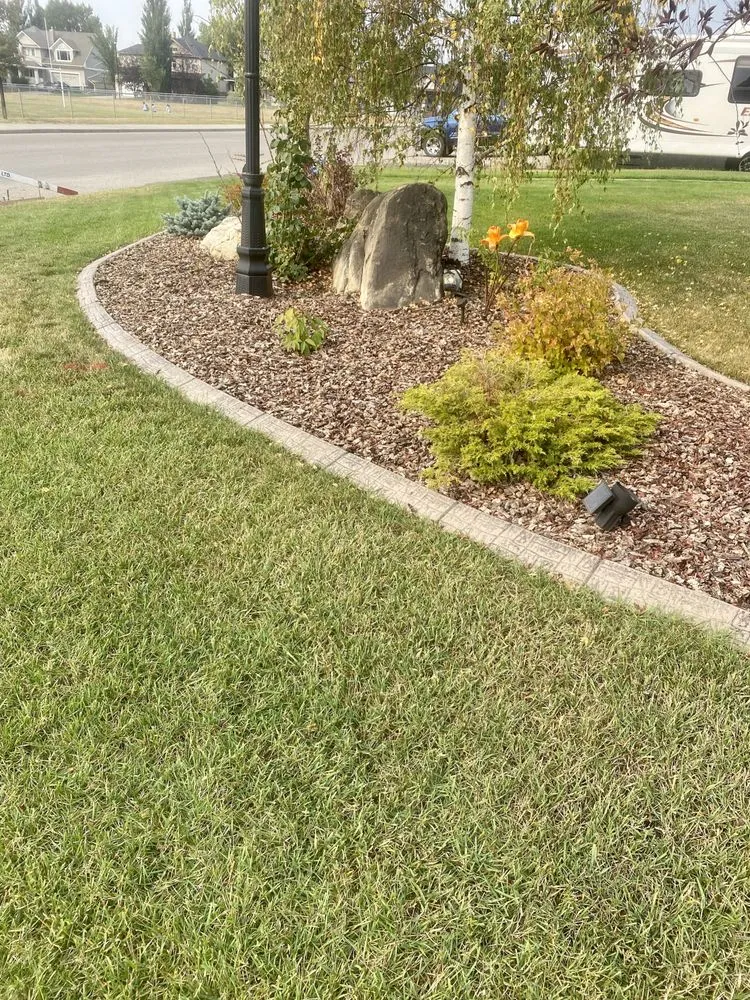 Local yard cleanup service experts serving Dickinson, TX - Concept Curbing