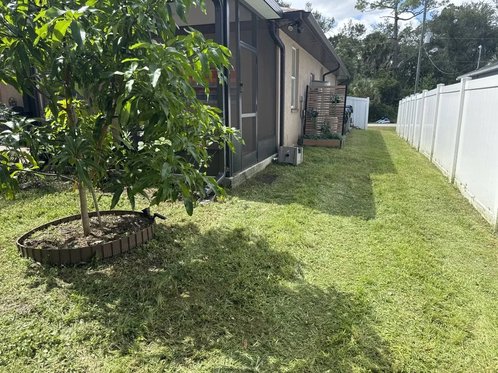 Expert landscaping services for homes in Port Charlotte, FL by Concept Cutz