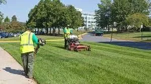 Trusted landscaping services experts serving Minnetrista, MN - Concept Landscaping
