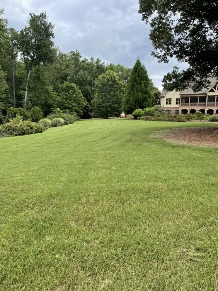 Reliable lawn mowing service for residential properties in Senoia, GA by Concept lawn care