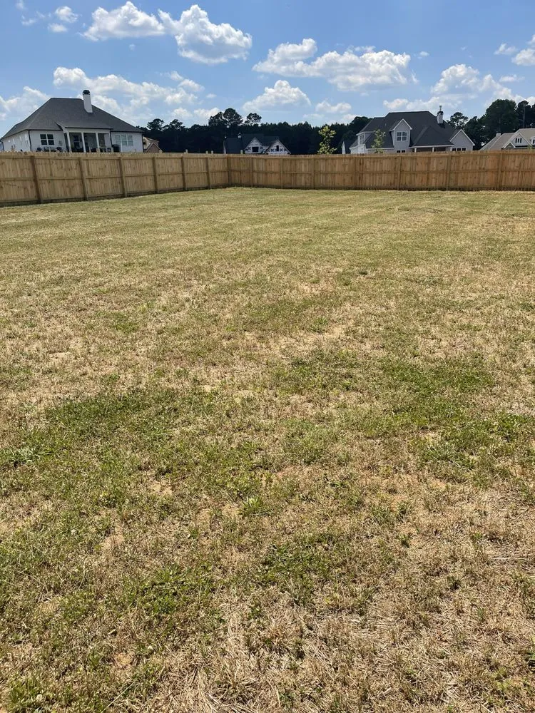 Affordable yard cleanup service for year-round maintenance in Senoia, GA by Concept lawn care