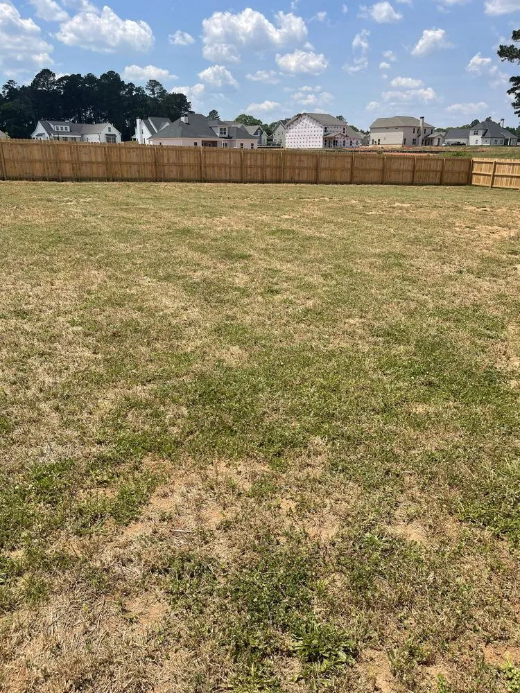 Affordable lawn care service experts serving Senoia, GA - Concept lawn care