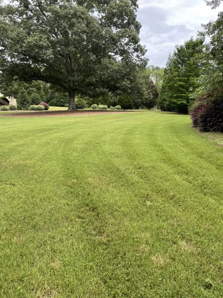 Top-rated garden landscaping experts serving Senoia, GA - Concept lawn care