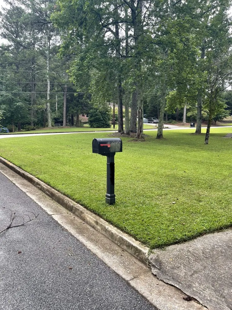 Reliable residential landscaping experts serving Senoia, GA - Concept lawn care