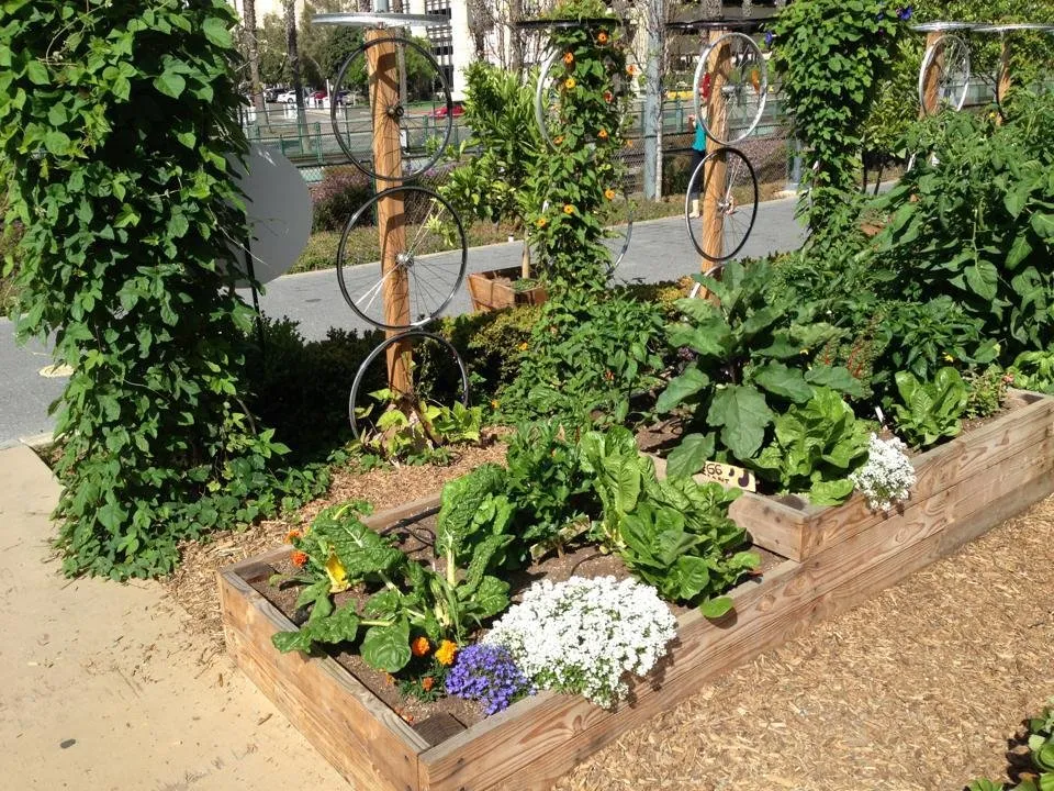 Professional lawn mowing service in Fallbrook, CA by Concepts in Landscaping