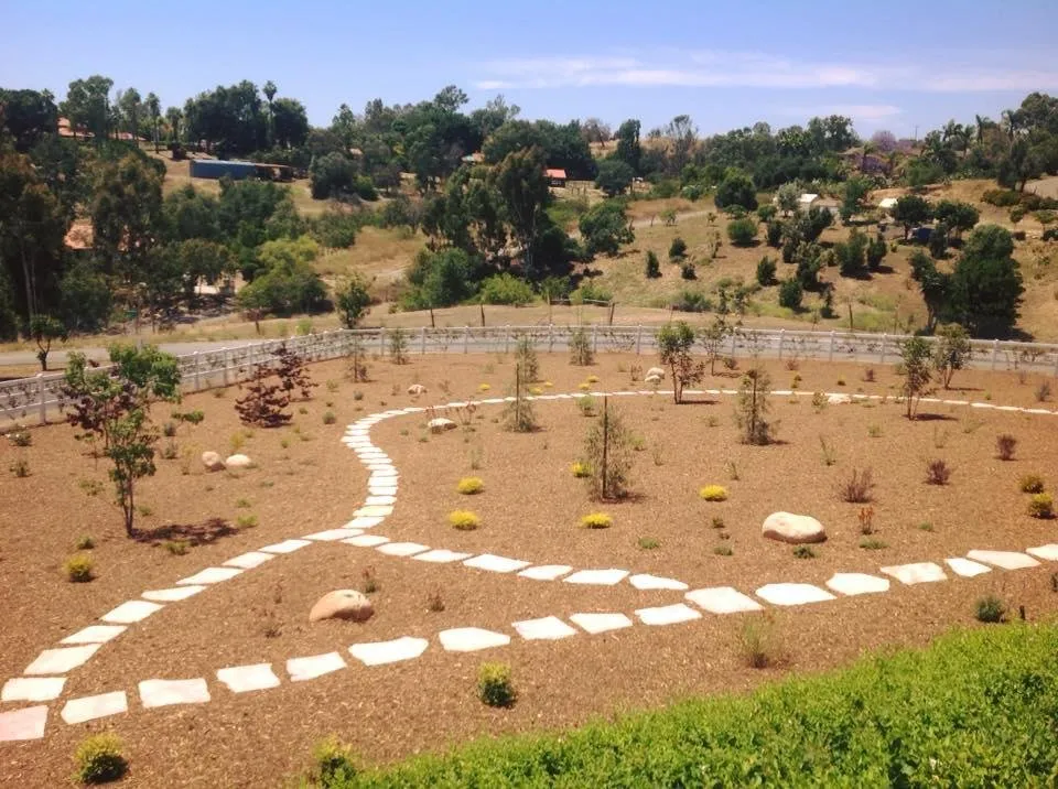 Affordable yard cleanup service in Fallbrook, CA - Concepts in Landscaping