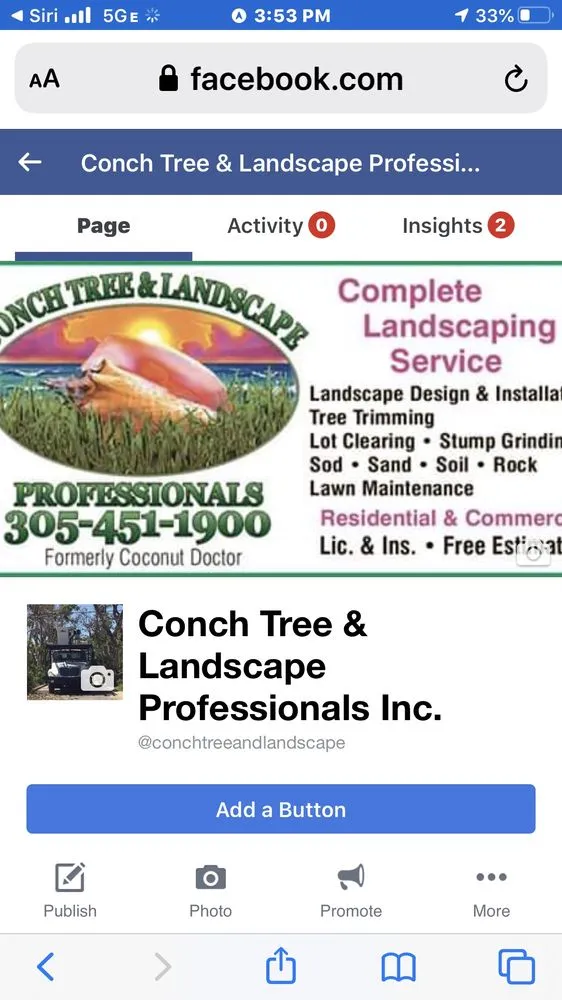 Trusted landscaping services experts serving Key Largo, FL - Conch Tree & Landscape Professionals