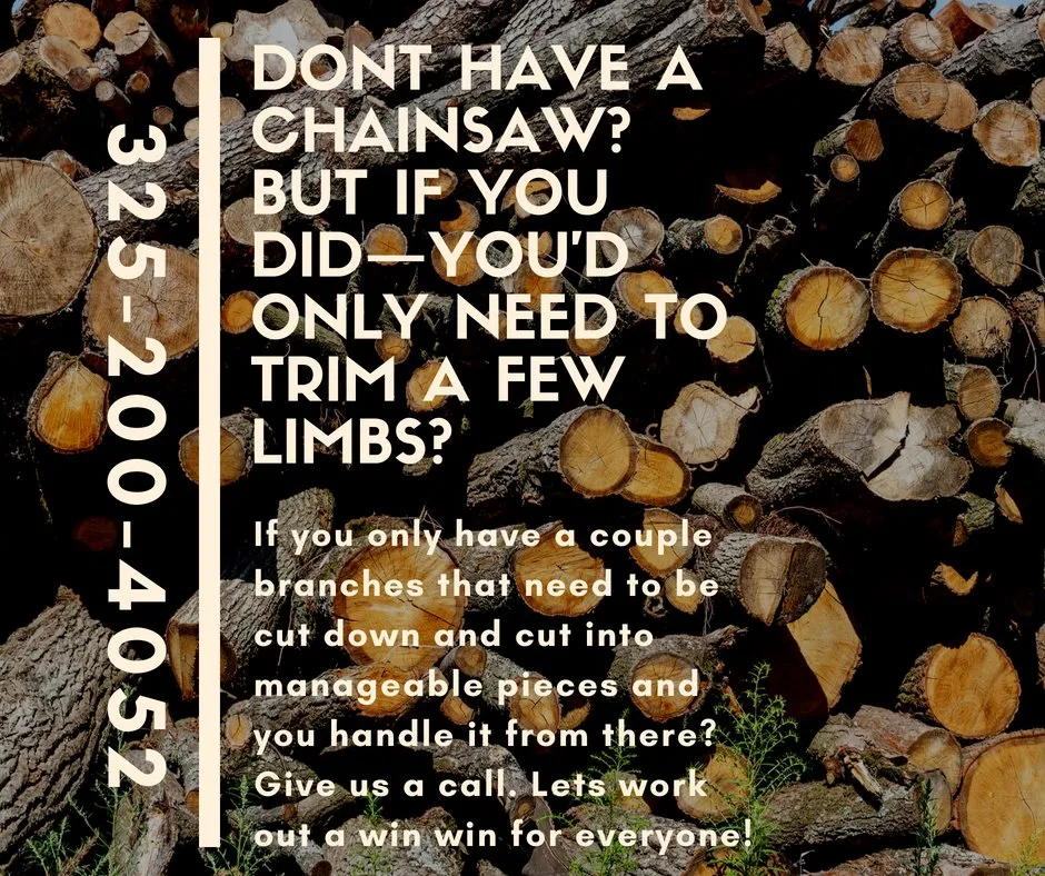 Expert yard cleanup service near you across San Angelo, TX - Concho Tree Removal & Landscaping