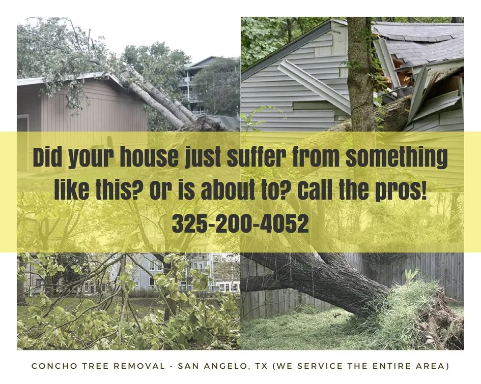 Local residential landscaping for homes in San Angelo, TX by Concho Tree Removal & Landscaping