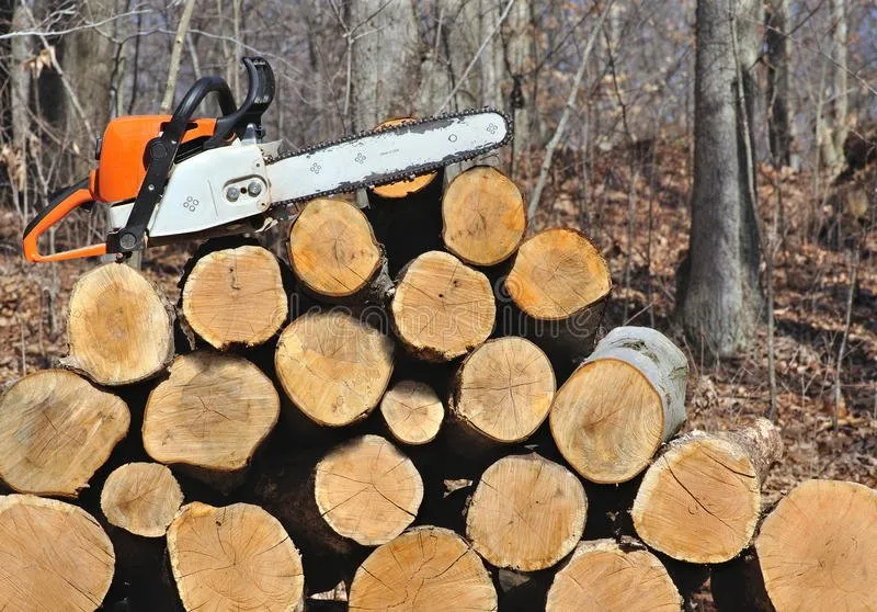 Top-rated outdoor landscaping experts serving San Angelo, TX - Concho Tree Removal & Landscaping