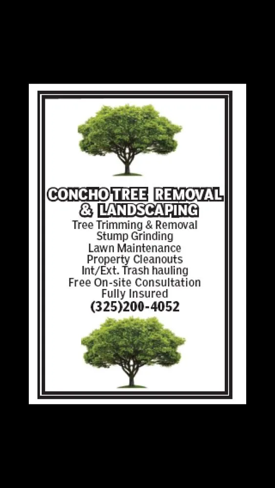 Reliable yard cleanup service for beautiful yards in San Angelo, TX by Concho Tree Removal & Landscaping