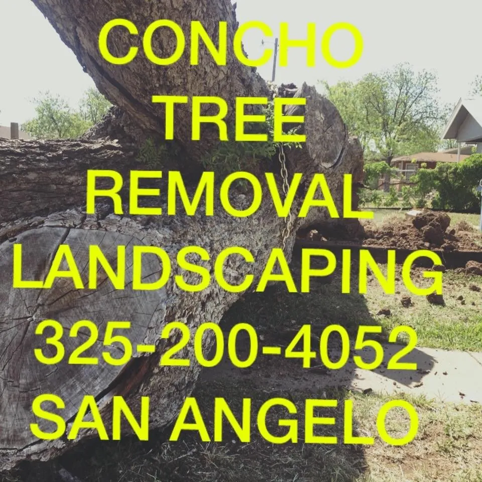 Local yard cleanup service for residential properties across San Angelo, TX - Concho Tree Removal & Landscaping