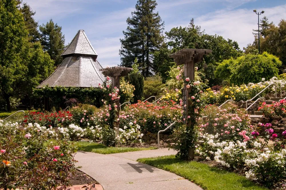 Reliable landscaping services in Clayton, CA - Concord Landscaping Pros