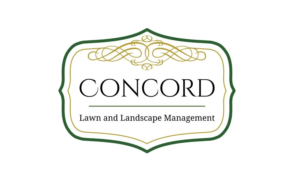 Custom yard cleanup service in Dublin, OH by Concord Lawn and Landscape Management