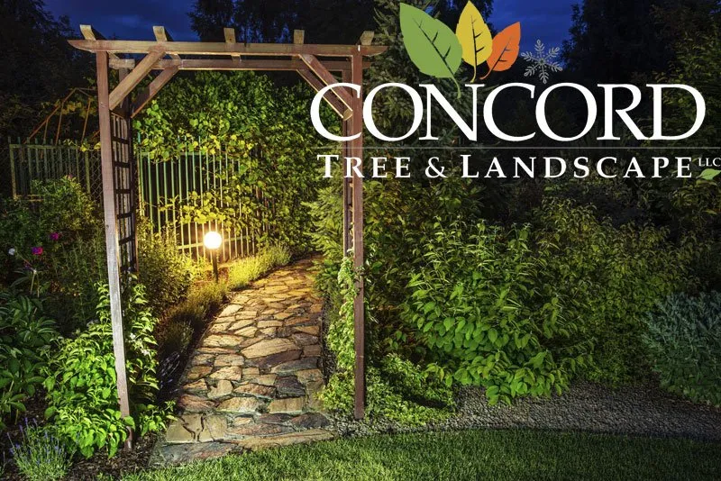 Trusted outdoor landscaping in Acton, MA - Concord Tree and Landscape