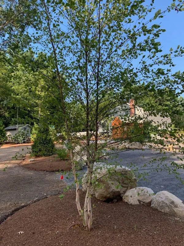 Top-rated landscape installation for beautiful yards across Acton, MA - Concord Tree and Landscape