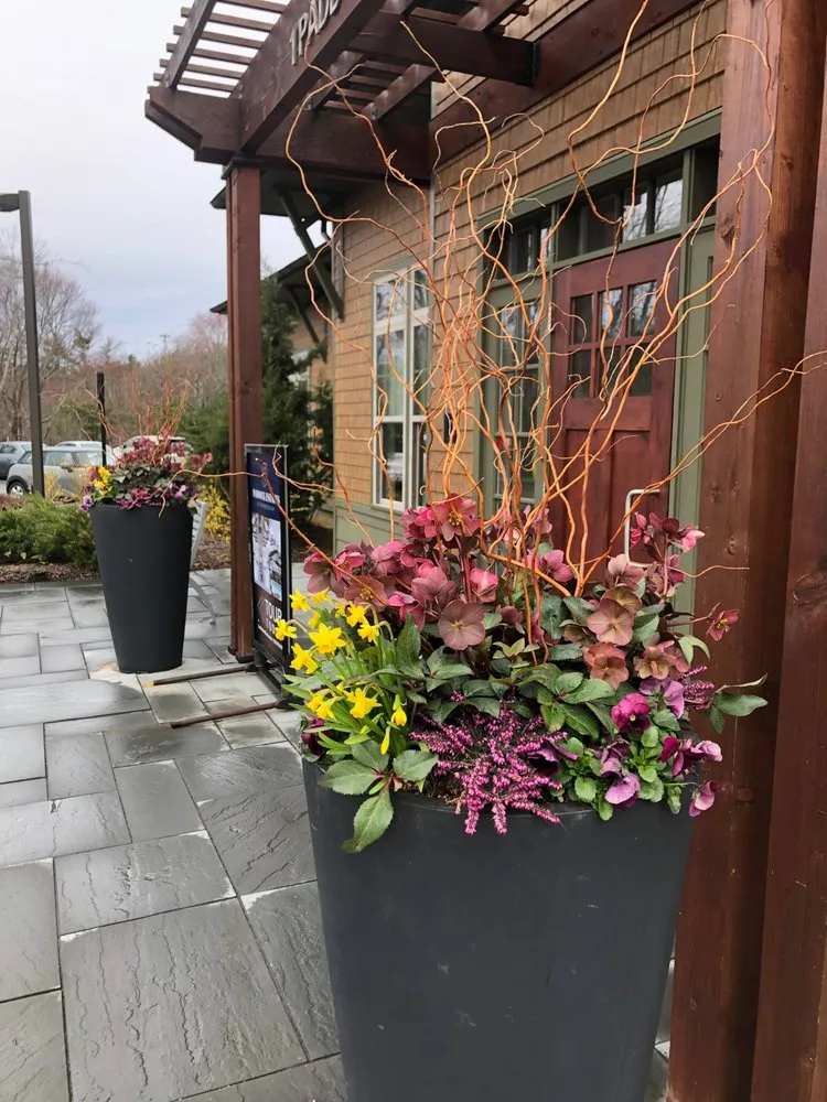 Custom yard maintenance for year-round maintenance across Acton, MA - Concord Tree and Landscape