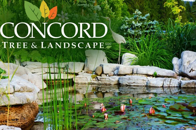 Custom landscape installation experts serving Acton, MA - Concord Tree and Landscape