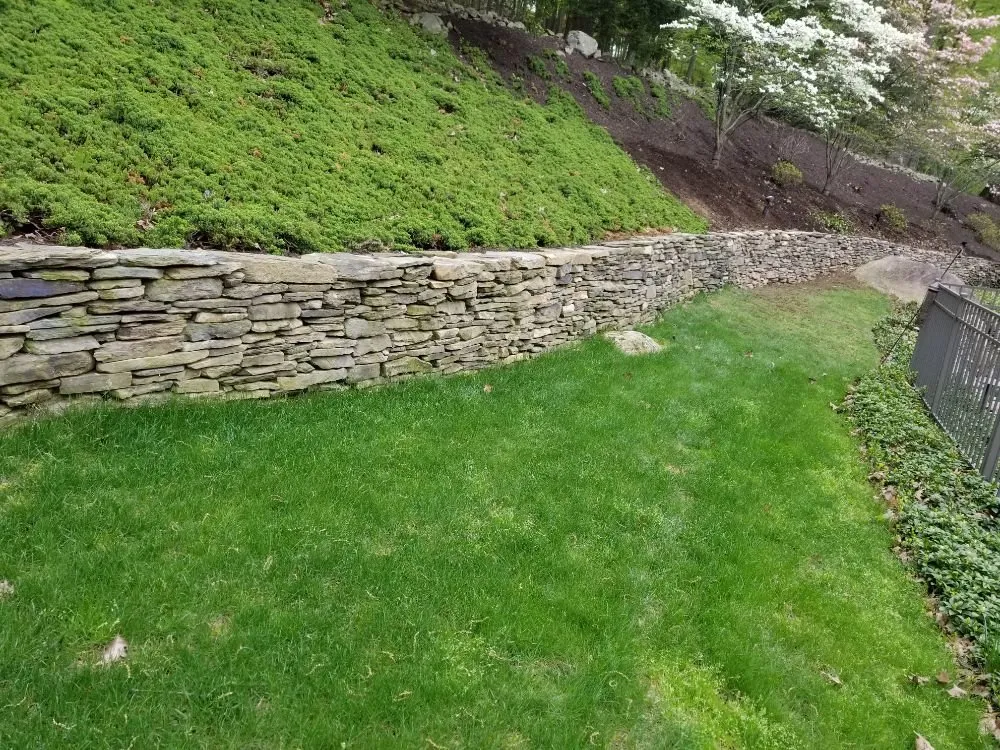 Affordable lawn mowing service in Easton, PA by Concrete Dos Amigos