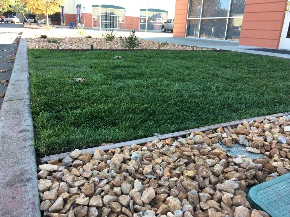 Affordable lawn care service for residential properties in Rancho Cordova, CA by Concrete Landscape Services