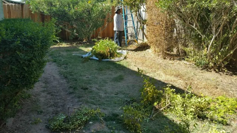 Trusted lawn mowing service for residential properties across Rancho Cordova, CA - Concrete Landscape Services