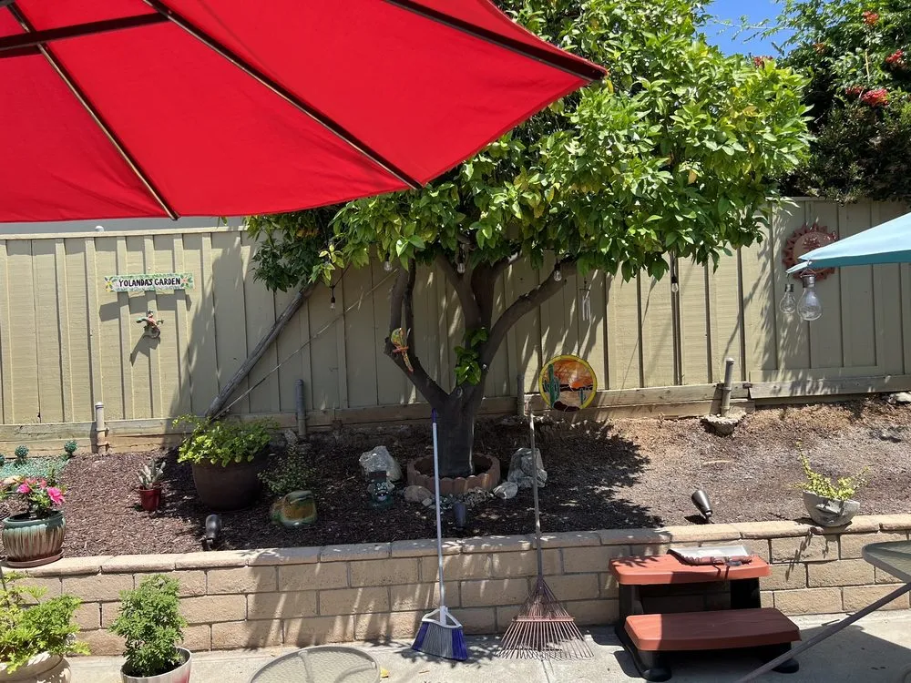 Professional landscape installation in Anaheim, CA - Concrete Plus