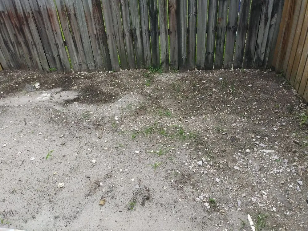 Expert landscaping services experts serving Miramar, FL - Concrete Rose Landscaping