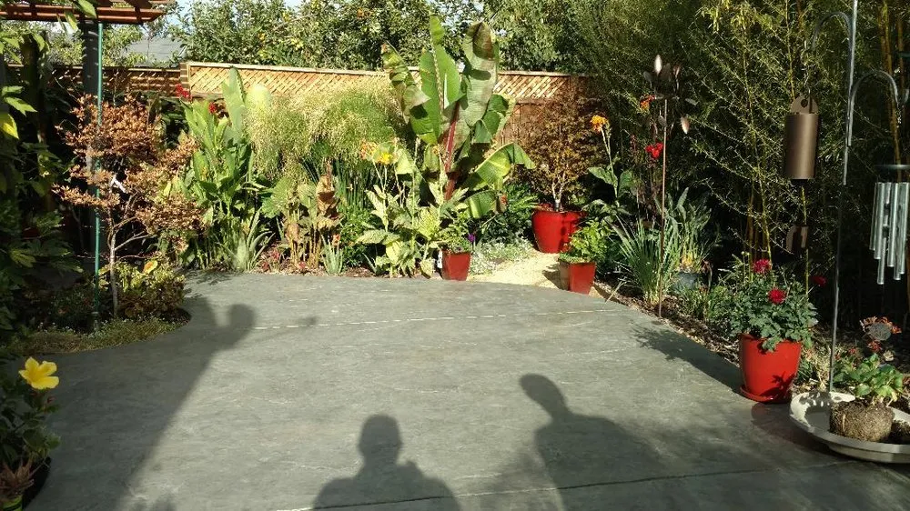 Expert garden landscaping in San Jose, CA by Concrete Solutions