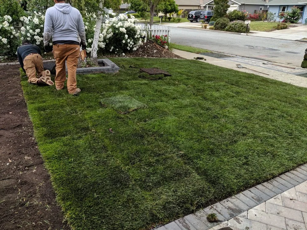 Affordable lawn care service for outdoor upgrades across San Jose, CA - Concrete Solutions