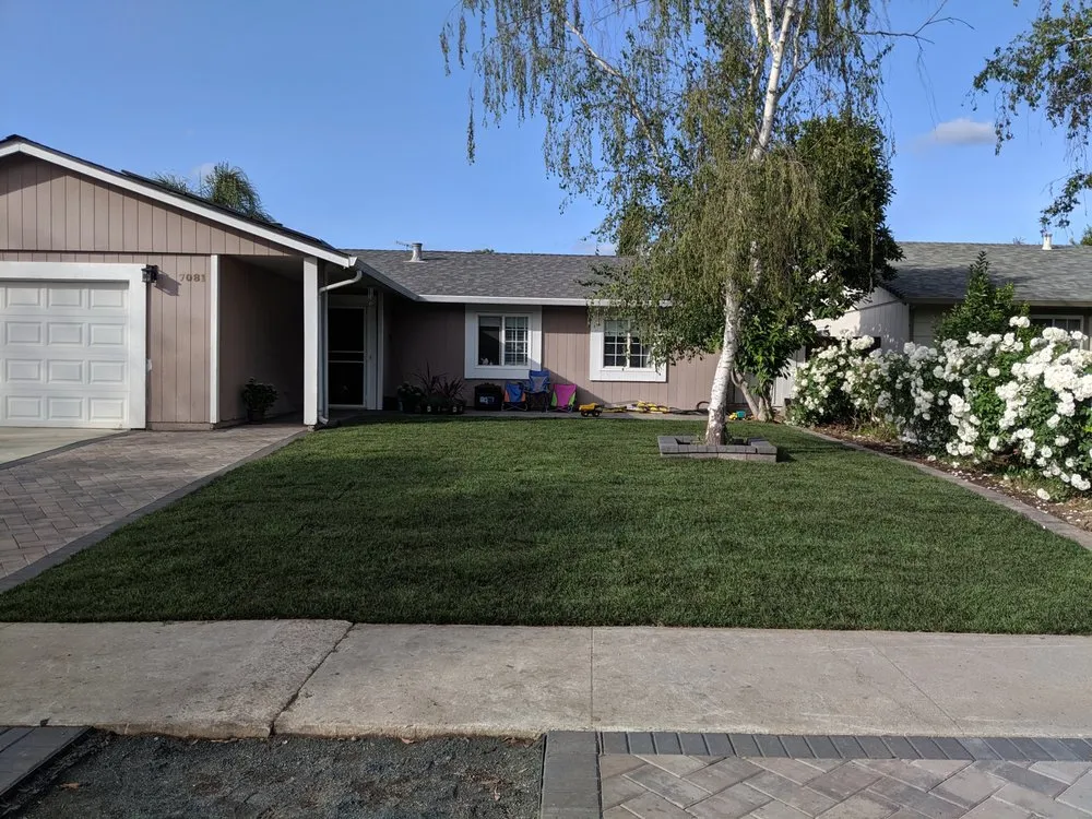 Top-rated landscaping services in San Jose, CA - Concrete Solutions