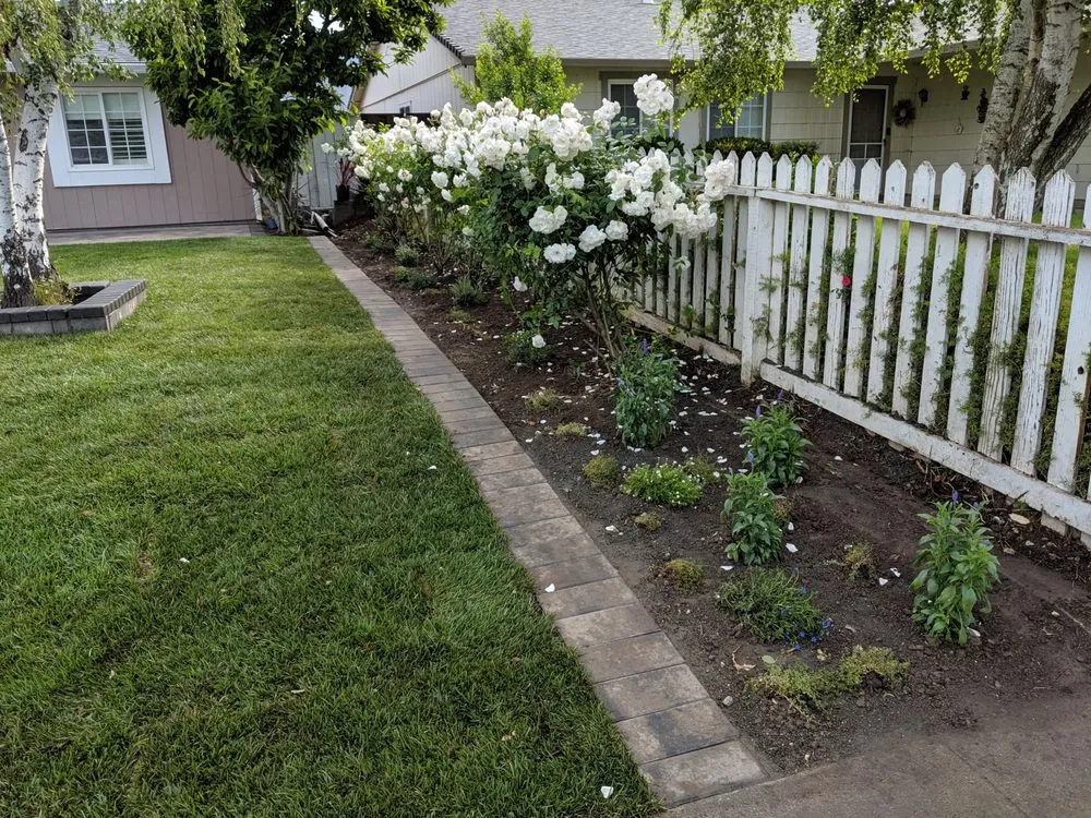 Reliable landscape design in San Jose, CA by Concrete Solutions