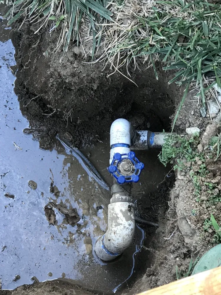 Affordable landscape design in Fontana, CA by Concrete World