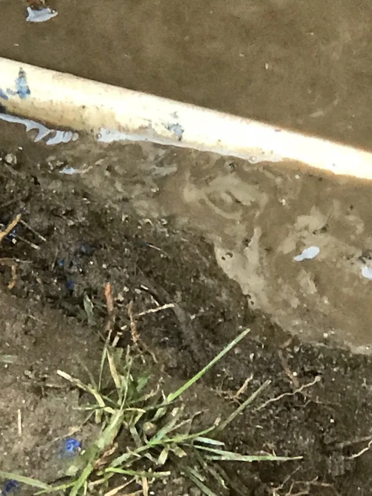 Affordable lawn care service in Fontana, CA by Concrete World