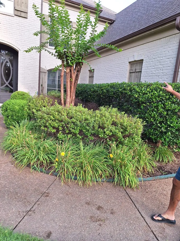 Professional landscape installation in Memphis, TN - Concreto Y Landscaping Gonzalez