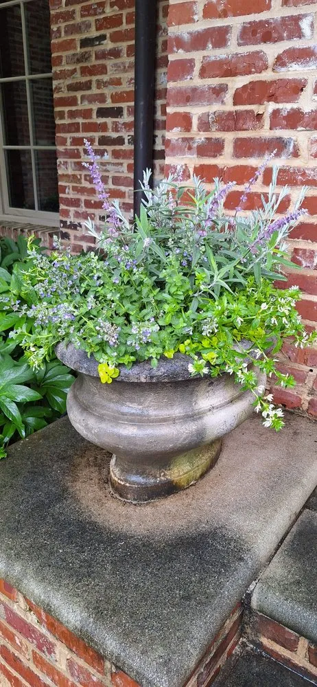 Affordable lawn care service for beautiful yards in Memphis, TN by Concreto Y Landscaping Gonzalez