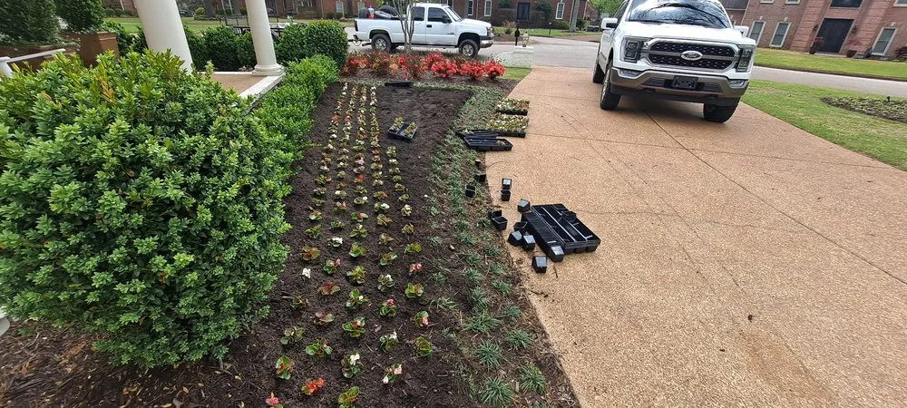 Top-rated yard cleanup service in Memphis, TN by Concreto Y Landscaping Gonzalez