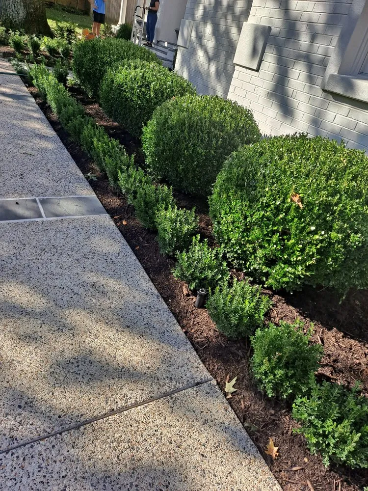 Affordable lawn care service experts serving Memphis, TN - Concreto Y Landscaping Gonzalez