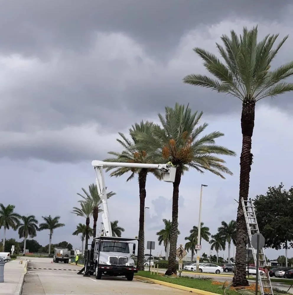 Affordable garden landscaping with custom design in Miami, FL by Conde Landscaping