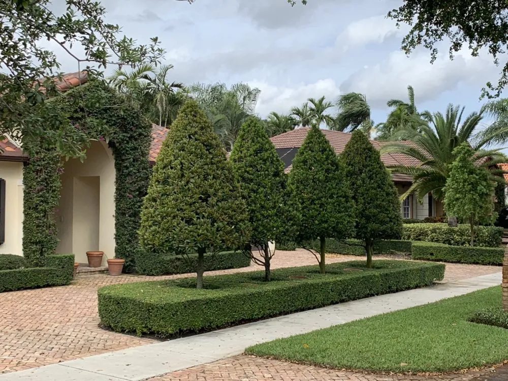 Reliable yard cleanup service in Miami, FL by Conde Landscaping