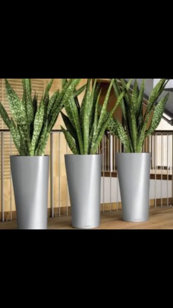 Professional residential landscaping with custom design in Miami, FL by Conde Landscaping