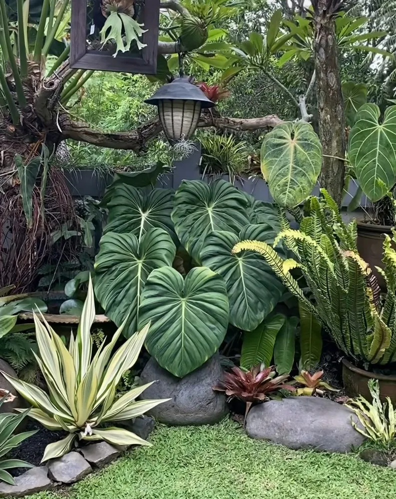 Reliable yard maintenance for beautiful yards across Miami, FL - Conde Landscaping