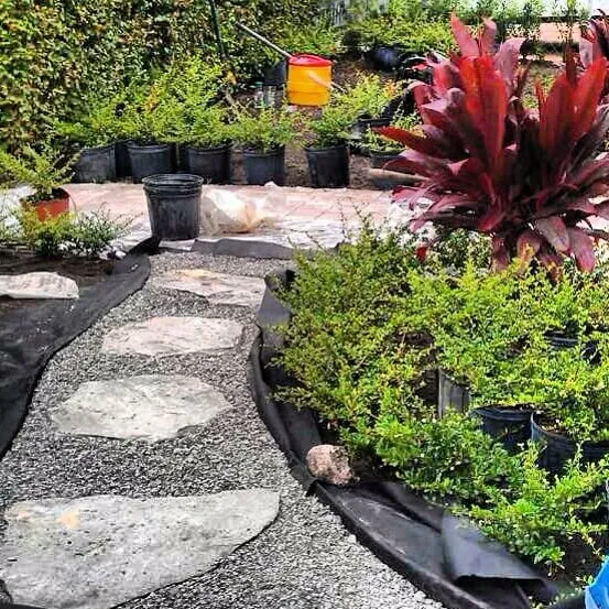 Custom yard cleanup service experts serving Miami, FL - Conde Landscaping