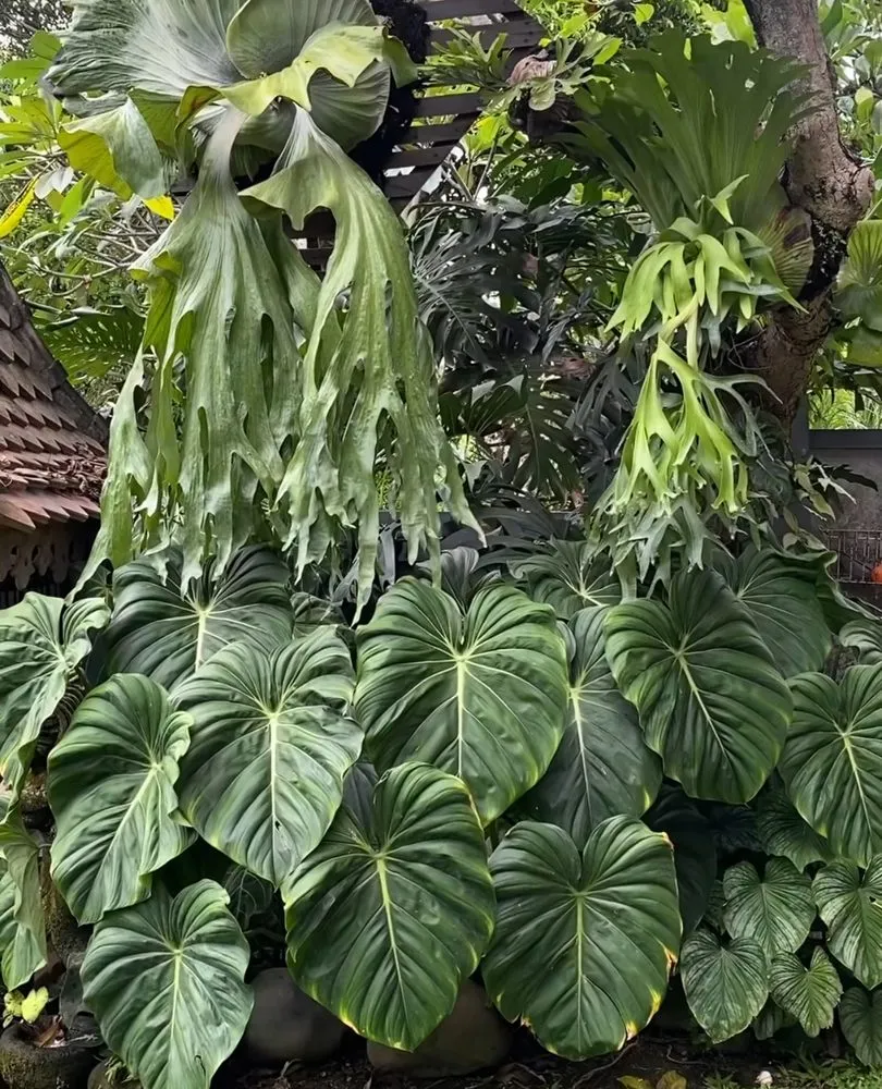 Top-rated landscape design in Miami, FL by Conde Landscaping