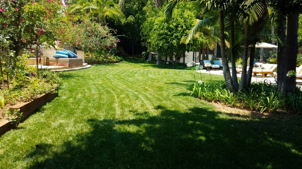 Top-rated yard maintenance for outdoor upgrades in Los Angeles, CA by Condes Gardening