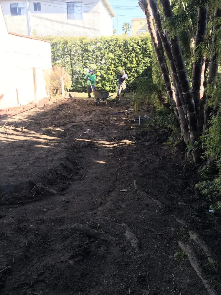 Affordable outdoor landscaping in Los Angeles, CA by Condes Gardening