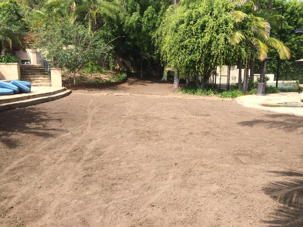 Top-rated yard maintenance for outdoor upgrades across Los Angeles, CA - Condes Gardening