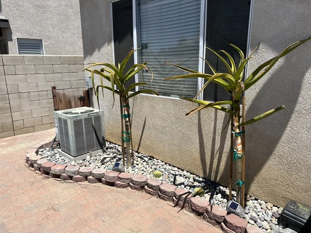 Local landscape design in Los Angeles, CA by Condes Gardening