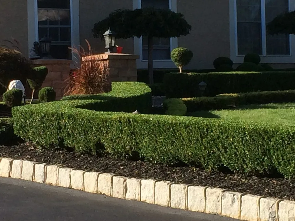 Affordable residential landscaping for outdoor upgrades across Monroe Township, NJ - Conde's Landscaping