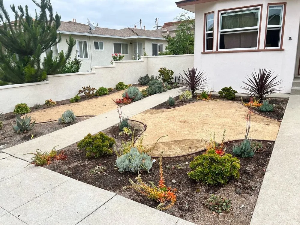 Professional yard maintenance in San Pedro, CA by C.O.N.D.I